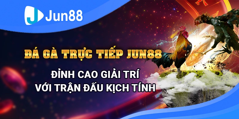 da-ga-truc-tiep-jun88-dinh-cao-giai-tri-voi-nhung-tran-dau-kich-tinh