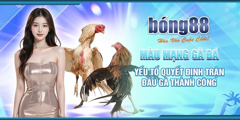 85 mau mang ga da yeu to quyet dinh tran dau ga thanh cong