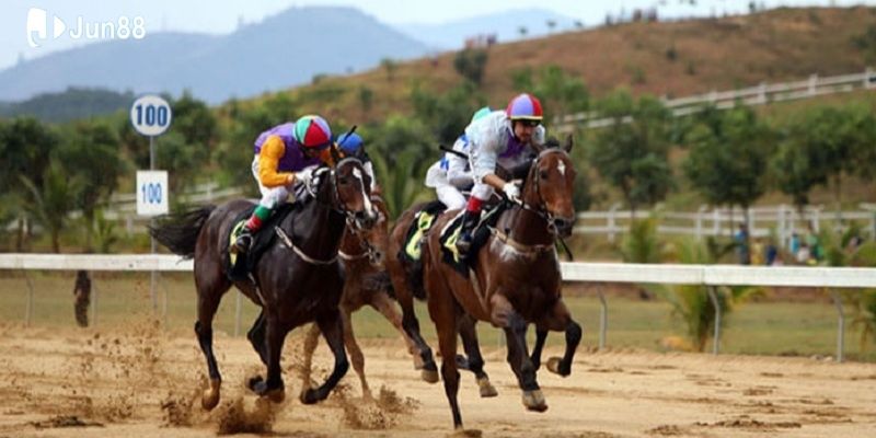 meo-thang-dua-ngua-khi-tim-hieu-thong-tin-ve-duong-dua