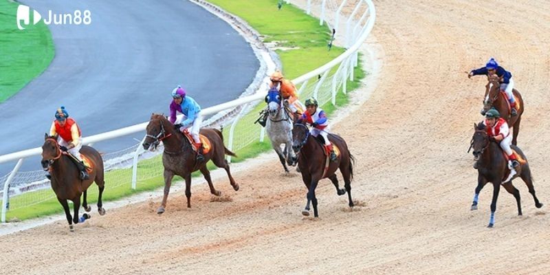 chia-se-meo-thang-dua-ngua-va-nhung-dieu-can-tranh