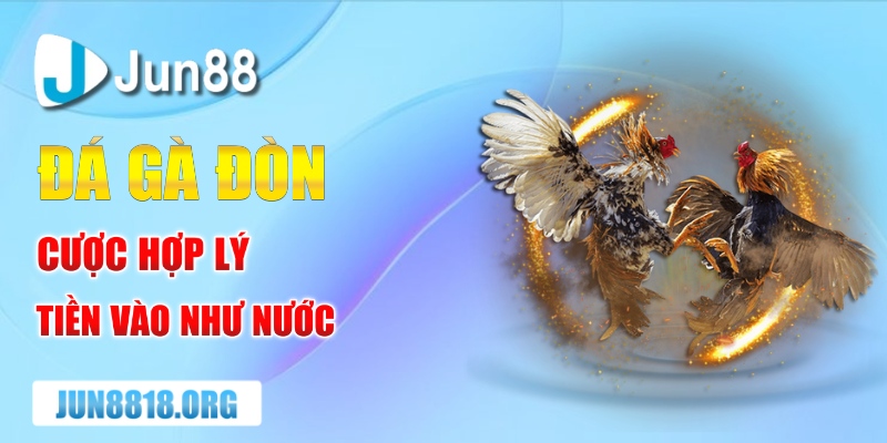 da ga don cuoc hop ly tien vao nhu nuoc