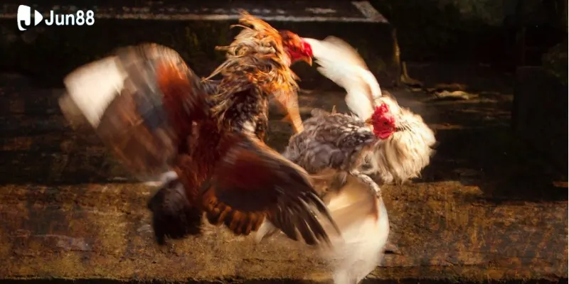 Chất lượng đường truyền ổn định