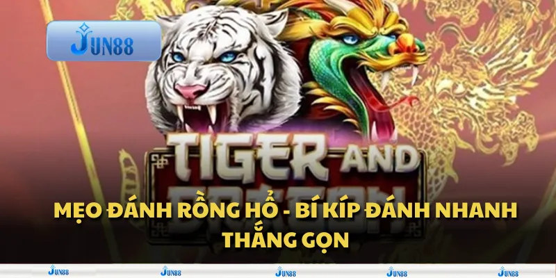 Mẹo đánh Rồng Hổ - Bí kíp đánh nhanh thắng gọn